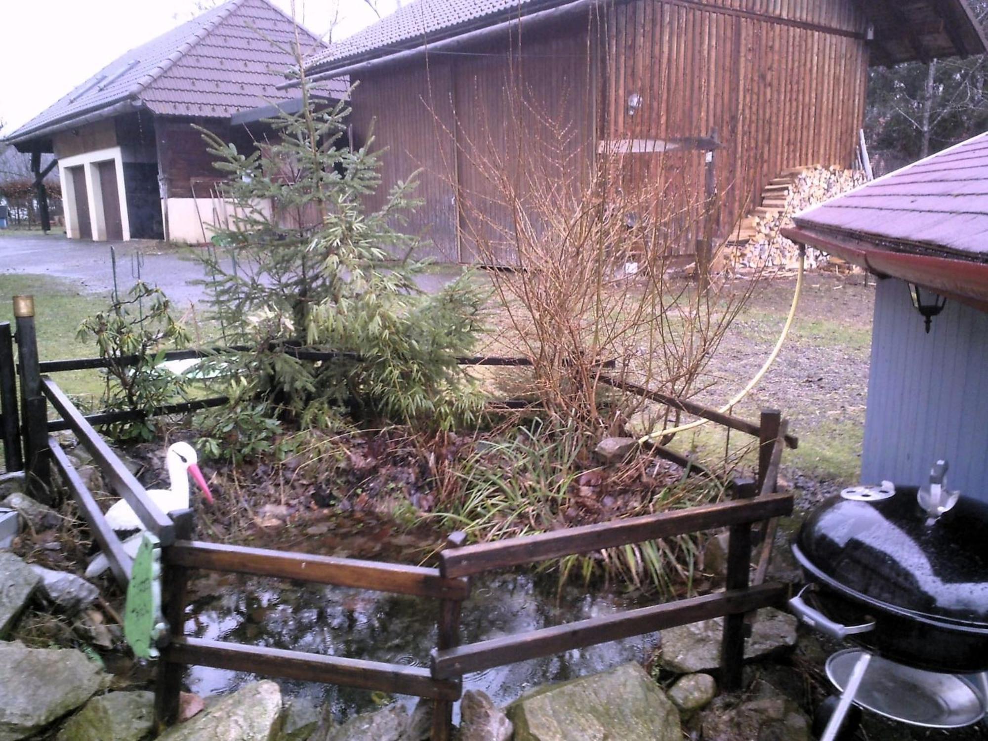 Beautiful Apartment In A Black Forest House With Conservatory 베르나우임슈바르츠발트 외부 사진